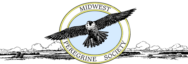 Hawk (600x204), Png Download