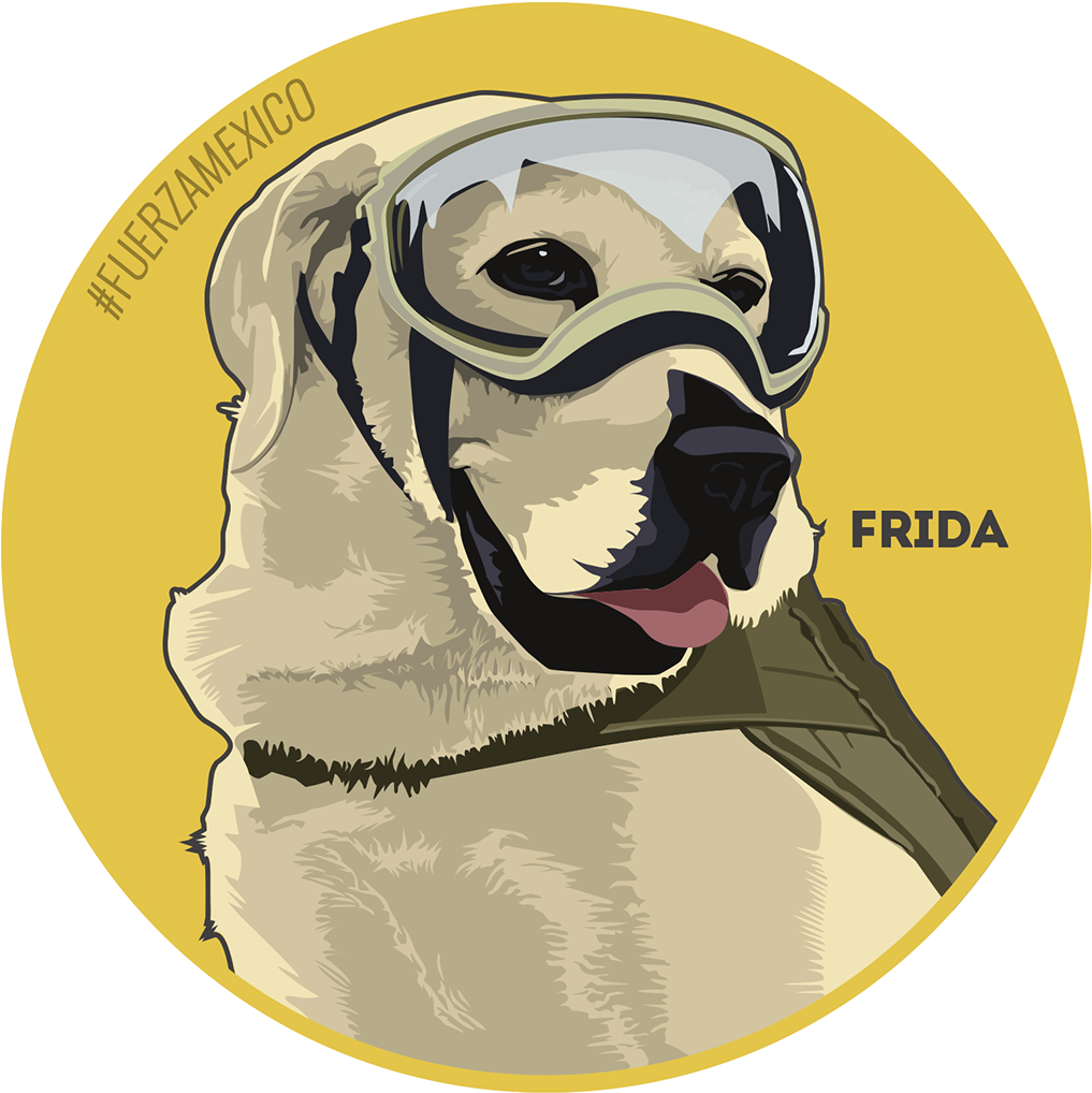 Christmas Pug - Pug (1200x1197), Png Download