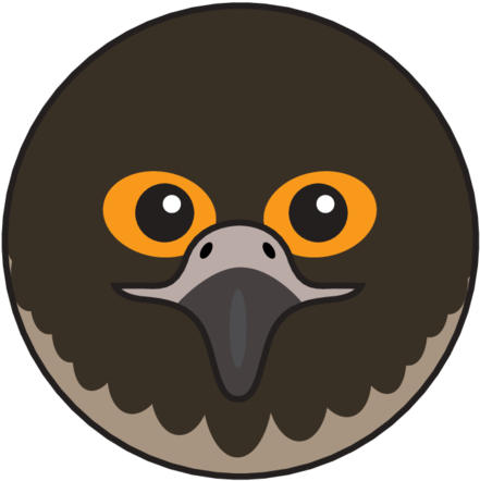 Animaru Peregrine Falcon - Cartoon (800x800), Png Download