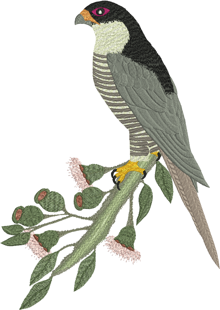 Machine Embroidery Design - Falcon (1000x1000), Png Download