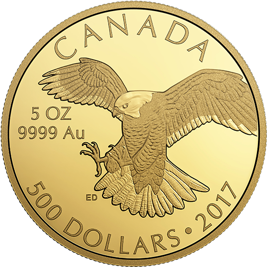 Pure Gold Coin Peregrine Falcon Mintage - Gold (570x570), Png Download