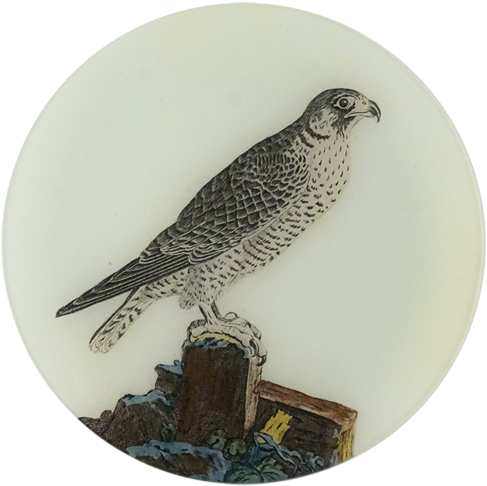 The Falcon The Falcon - The Falcon (500x500), Png Download