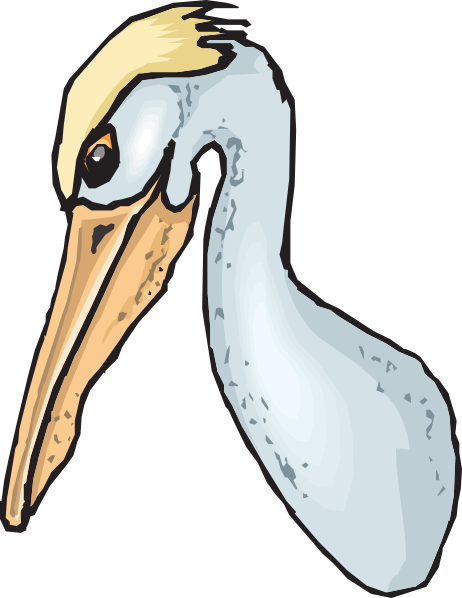 Pouch Like Beak Clipart (462x598), Png Download