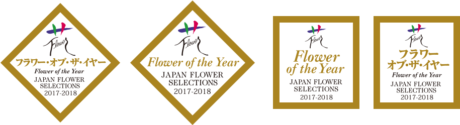“best Flower” Prize - 헬 조선 의료 사고 (998x298), Png Download