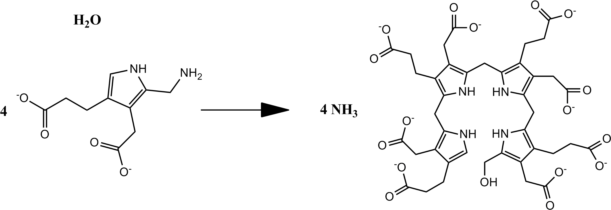 Download Overall Pbg Deaminase Reaction - Porphobilinogen Structure ...