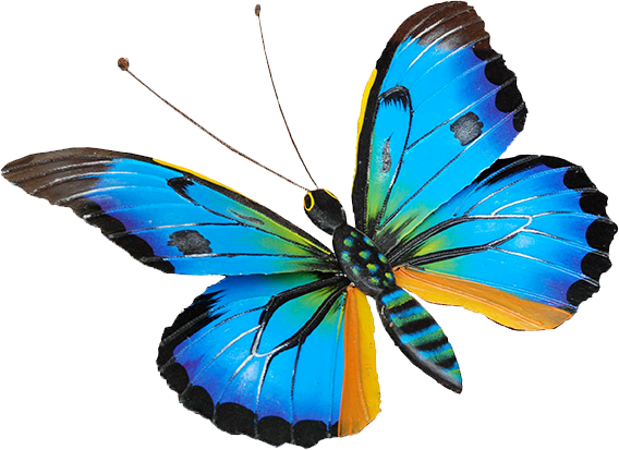 Colors - Biografia De Una Mariposa (568x413), Png Download
