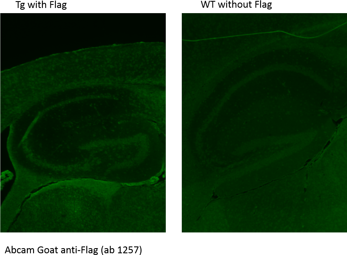 Abreview Image - Colorfulness (1221x941), Png Download