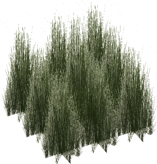 Rainforest Grass Tall - Tall Grass Render (522x522), Png Download
