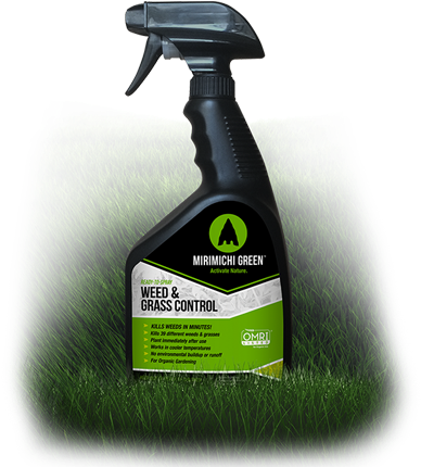 Weed & Grass Control Ready To Use Spray - Weed (408x450), Png Download