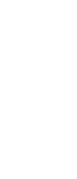 Ornamental Foliage - Grasses (259x600), Png Download