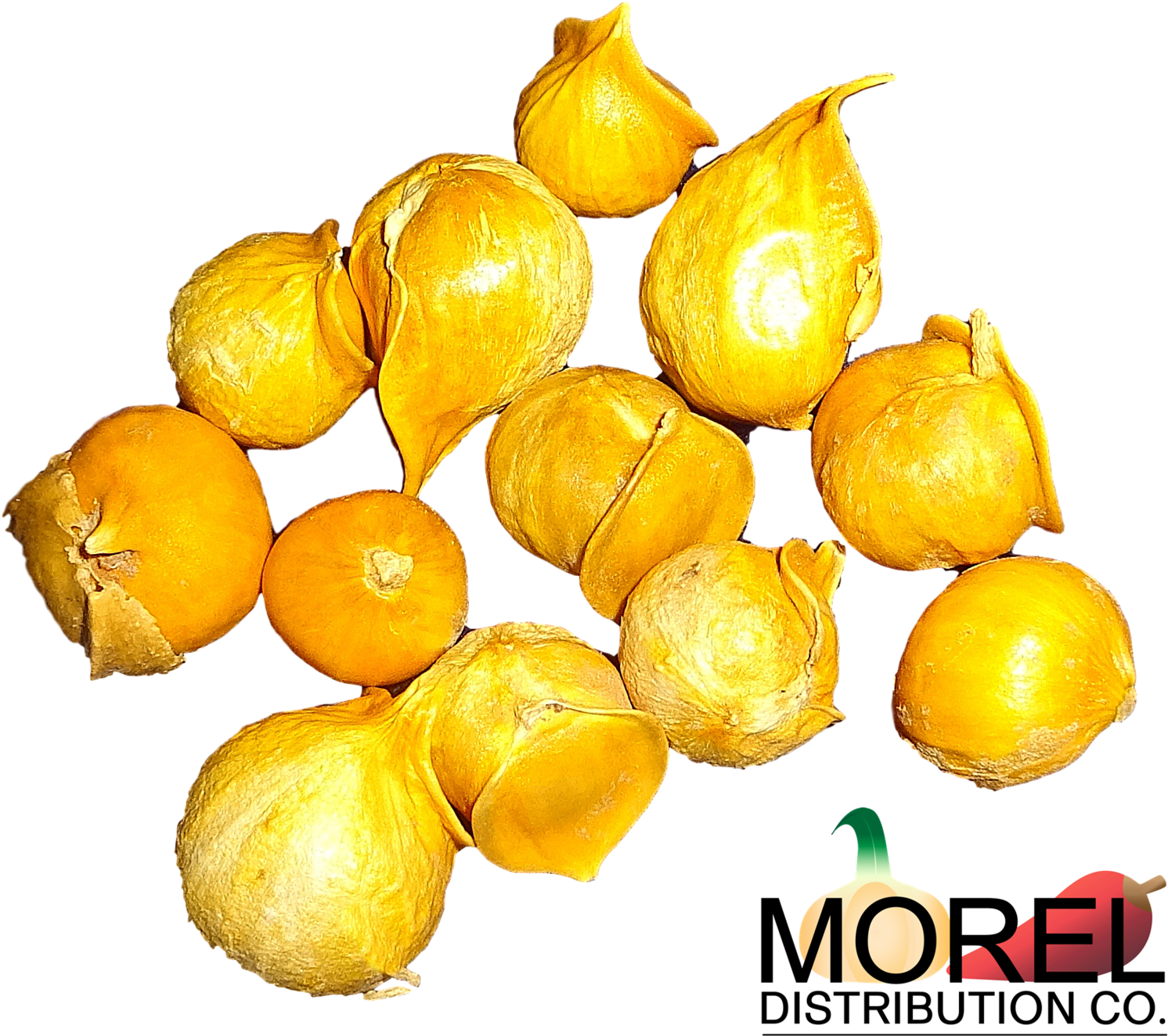 Send - Japanese Garlic//ajo Japones (100% Natural!!) Choose (1600x1393), Png Download