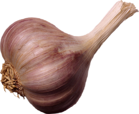 Garlic (450x370), Png Download