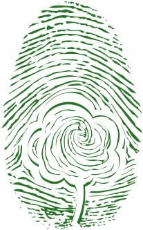 También Les Anexo Un Reporte Donde Se Mide La Huella - Sketch (420x347), Png Download