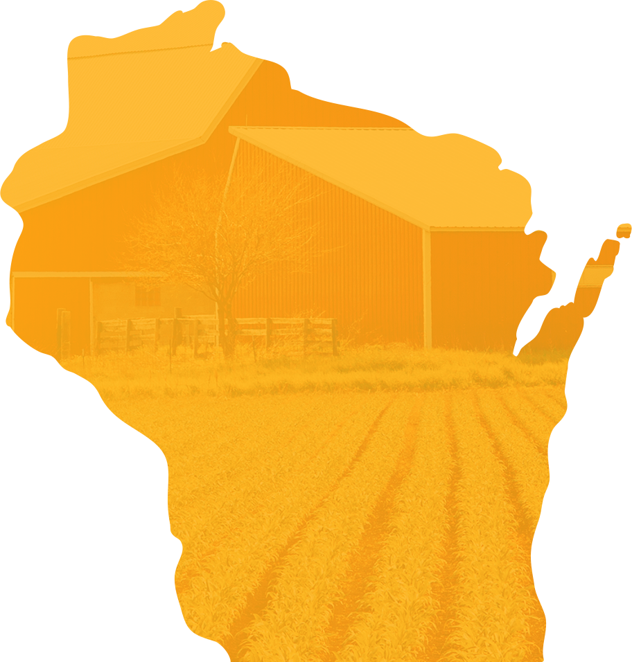 Dairy Clipart Cheese Wisconsin - Wisconsin Congressional District Map 2000 (912x956), Png Download
