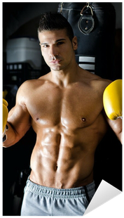 Handsome Shirtless Young Man With Boxer's Gloves Sticker - Boxed In: A Bbw Mc Erotic Drama [book] (400x400), Png Download