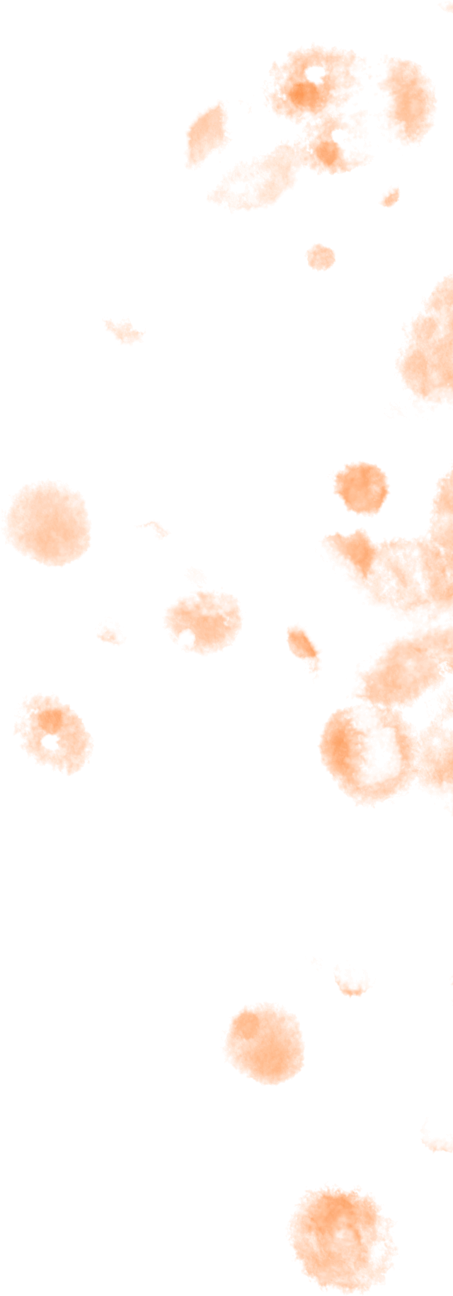 Occipital Lobe - Illustration (640x1855), Png Download