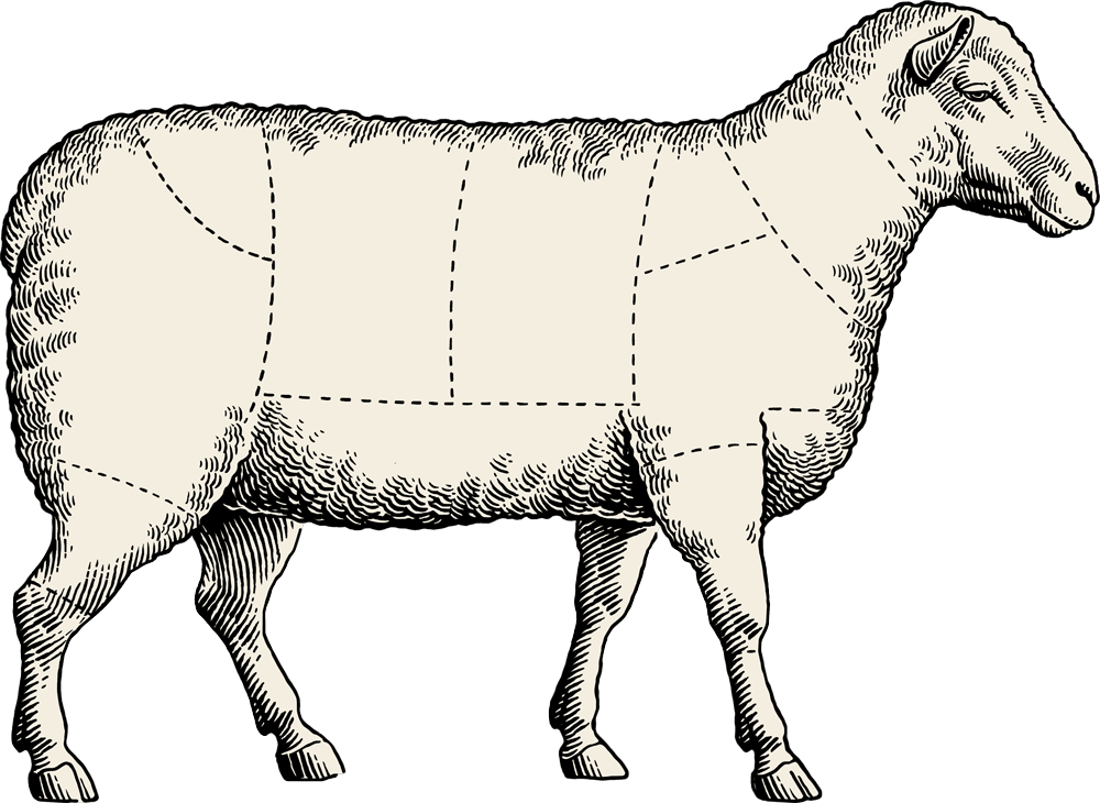 If You're New To Cooking Lamb, Simply Treat It Like - Sheep Meat Cuts Blank (1000x730), Png Download