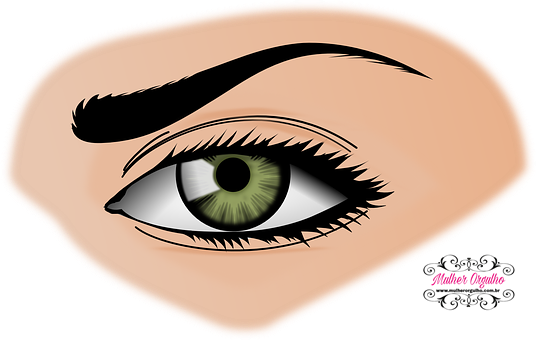 As Sobrancelhas São Determinantes Na Harmonia Dos Traços - Transparent Background Eye Clip Art (536x340), Png Download