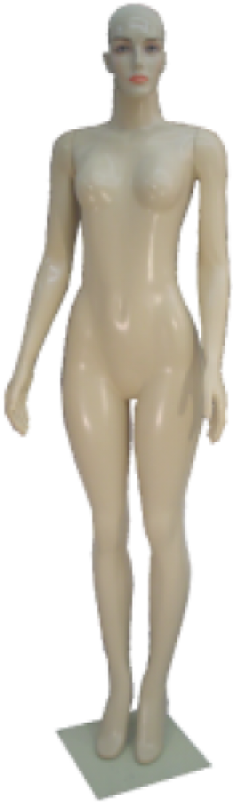 Model (900x1200), Png Download