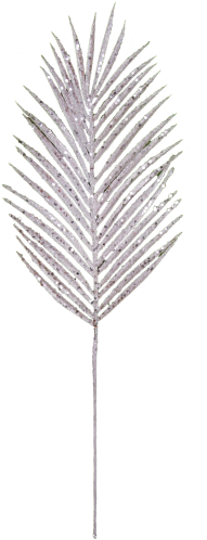Descrição - Grass (500x500), Png Download