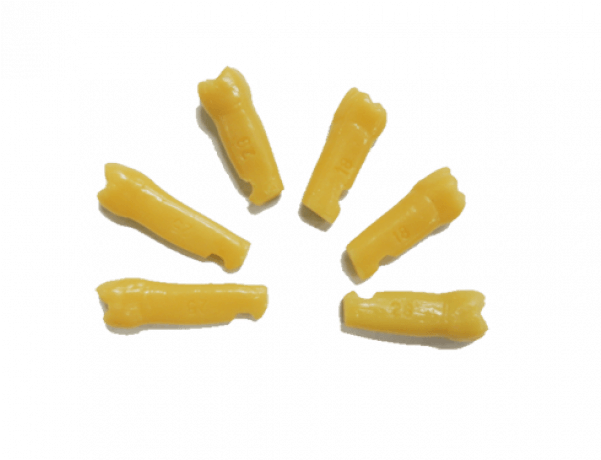 Dente 3º Molar N - Dentes Para Manequim Periodontia (600x600), Png Download
