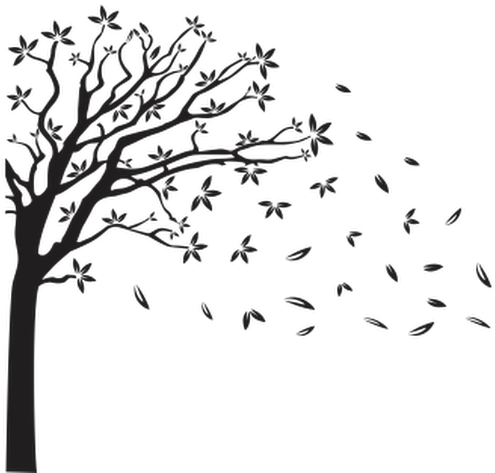 Photo - Arvore Com Folhas Caindo (530x530), Png Download