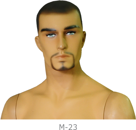 Cabeca Manequim Masculina M23 - Facebook (450x445), Png Download