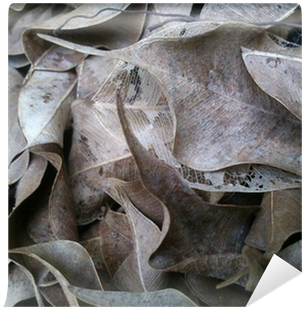 Photography (400x400), Png Download