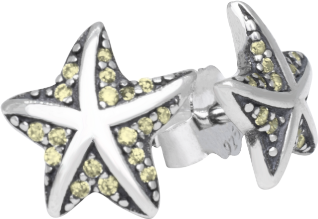 Estrella Marina Amarilla - Earrings (675x900), Png Download