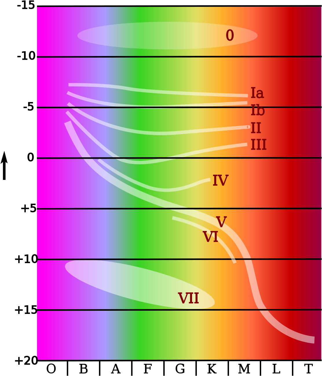 Lifespan Of Red Giant (1200x1371), Png Download