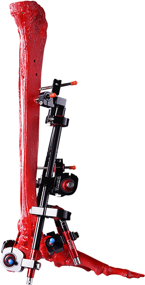 Dne Seal Pin To Bar Frame 24 - Ski (600x600), Png Download