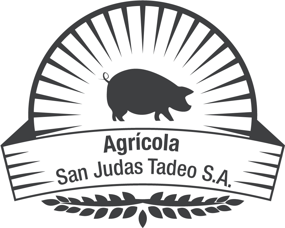 Pensando En Darle Una Imagen Agradable Y Que A Futuro - Vector Graphics (1078x911), Png Download