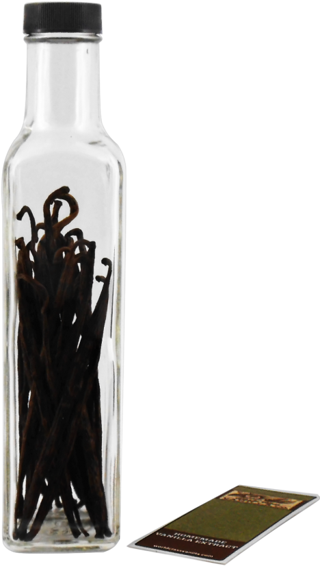 Madagascar Homemade Vanilla Extract Starter Kit - Vanilla Extract (650x866), Png Download