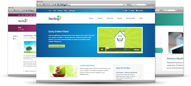 Premium Wordpress Theme Designer - Template Website Png (668x303), Png Download