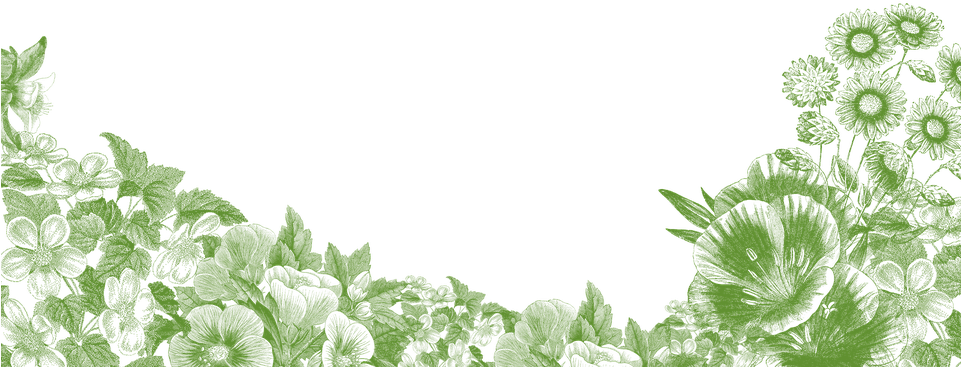 Floral Verde Png - Floral Frame Png Transparent (960x678), Png Download