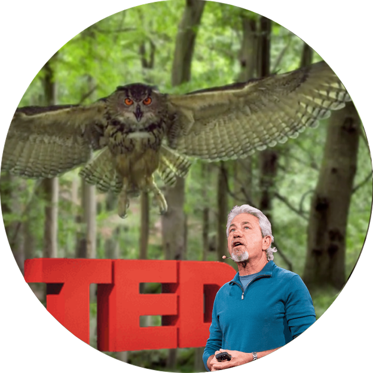 Become A Moving Art Insider - Moving Art By Louie Schwartzberg (748x748), Png Download