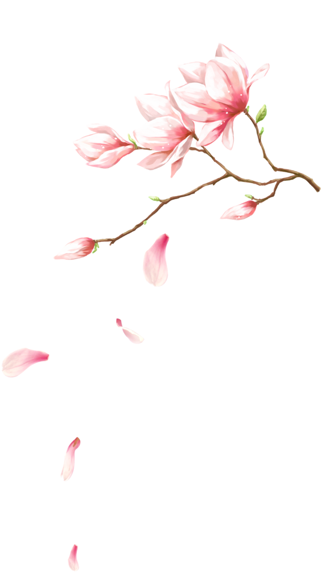 元旦圣诞节素材 双旦png透明底 面抠图@小倍采集 - Petalas Caindo Png (658x1171), Png Download