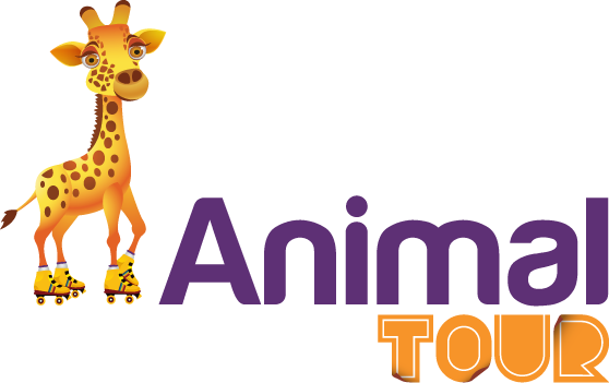 Animal Tour (558x351), Png Download