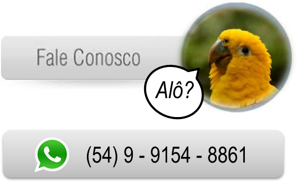Gramadozoo Com Todas As Atrações - Gramado Zoo (594x357), Png Download