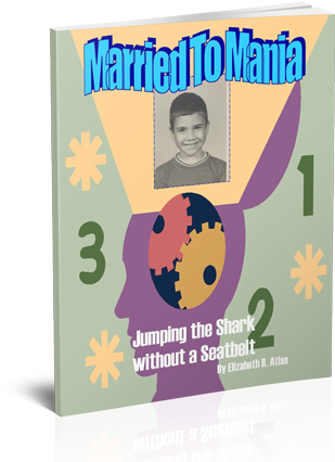 Book About Bipolar Disorder Husband - Married To Mania (353x430), Png Download