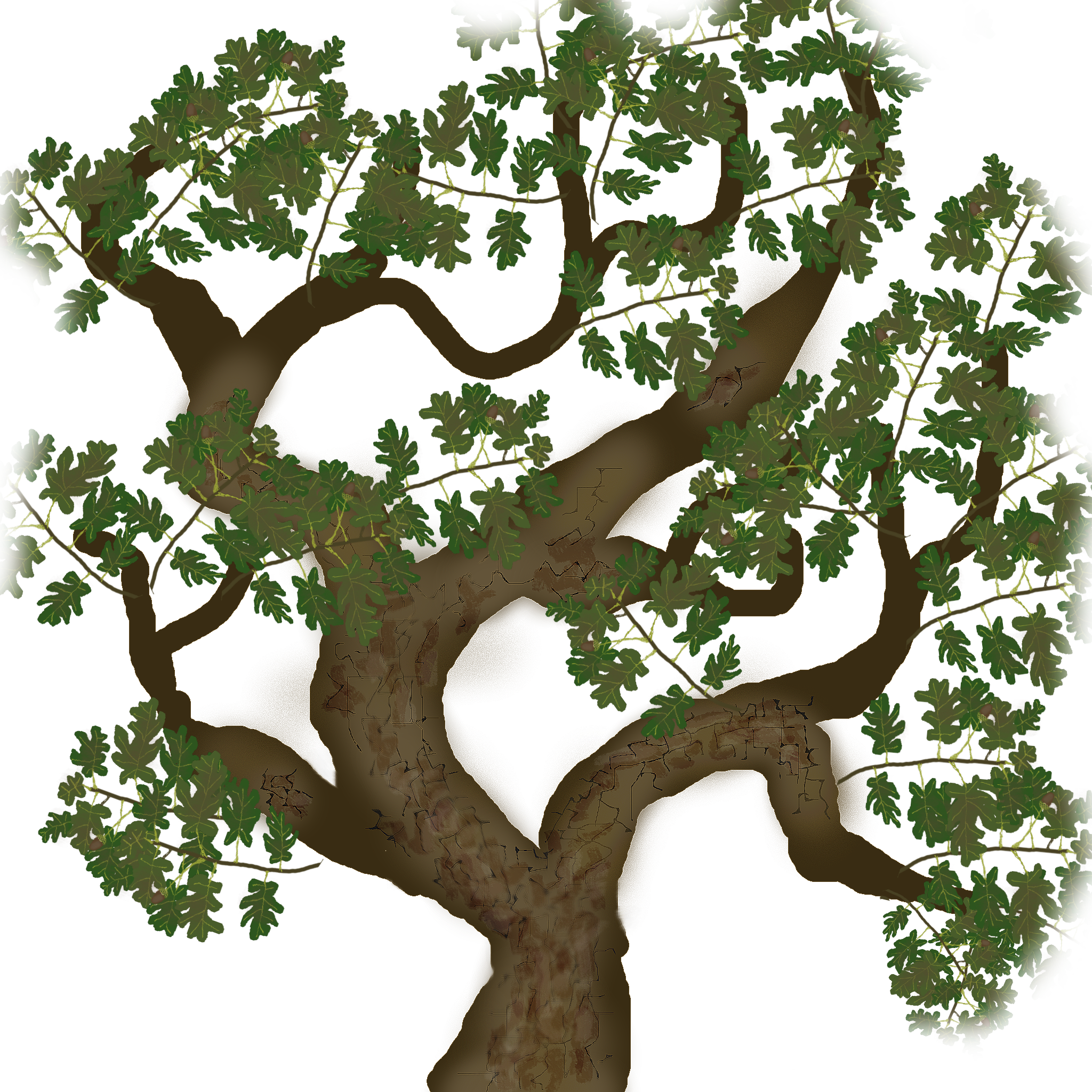 4 New Stk Lib Models Textures - Illustration (2048x2048), Png Download