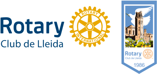 Rotary Lleida Banderin Logo Rotary Azul - Rotary International (600x313), Png Download