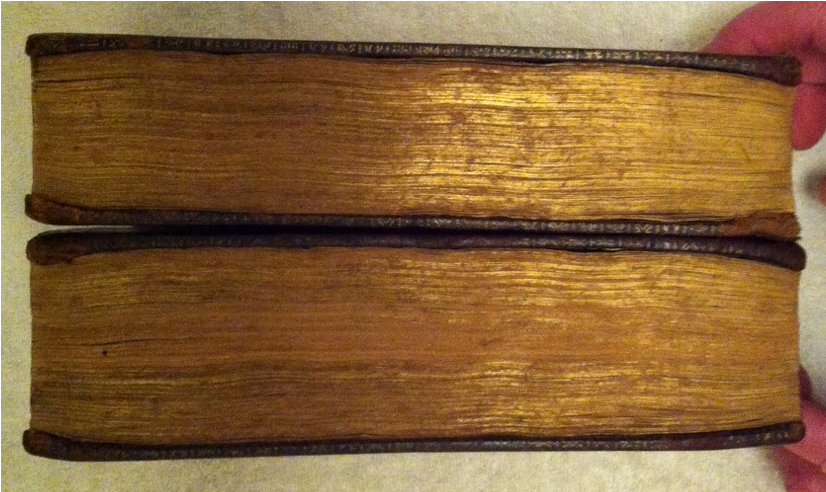 1760 Cambridge Edition King James Bible, Gilt Page - Plywood (957x1280), Png Download