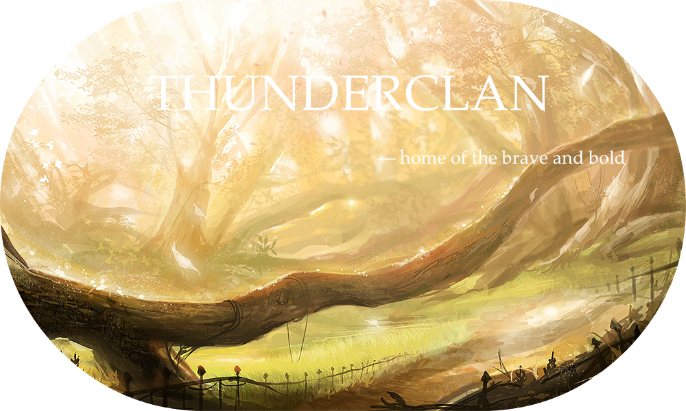 Thunderclan Banner Edges - Anime Sunshine In Forest (1000x600), Png Download