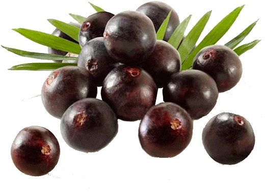 Polpa De Açai - Indus Viva Health Sciences (600x600), Png Download
