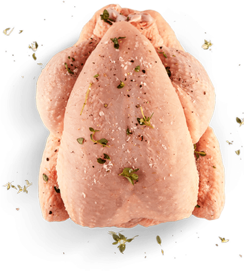 Prod-pollo1 - Hic 7000 Vertical Roaster, 8" (510x547), Png Download