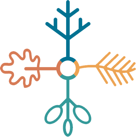 Cold Weather Bussing/patrols/indoor Recess - Transparent Snow Flake Icon (446x447), Png Download