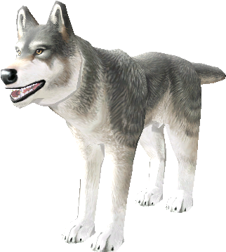 Download Zip Archive - Sakhalin Husky (750x650), Png Download