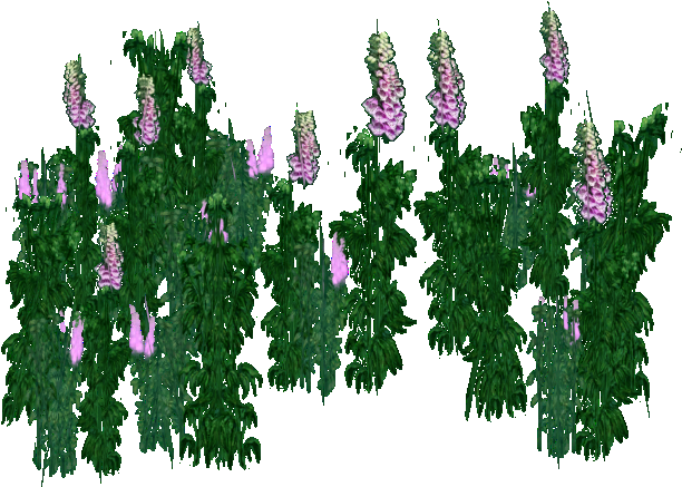 Foxglove - Wiki (611x611), Png Download