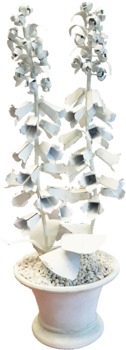 Wht Foxglove - Portable Network Graphics (300x757), Png Download